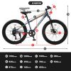 S24109 Elecony 24 Inch Fat Tire Bike Adult/Youth Full Shimano 7 Speeds Mountain Bike, Dual Disc Brake, High-Carbon Steel Frame, Front Suspension
