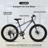 S24109 Elecony 24 Inch Fat Tire Bike Adult/Youth Full Shimano 7 Speeds Mountain Bike, Dual Disc Brake, High-Carbon Steel Frame, Front Suspension