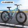 S24109 24 Inch Fat Tire Bike Adult/Youth Full Shimano 7 Speeds Mountain Bike, Dual Disc Brake, High-Carbon Steel Frame, Front Suspension
