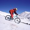 S24109 24 Inch Fat Tire Bike Adult/Youth Full Shimano 7 Speeds Mountain Bike, Dual Disc Brake, High-Carbon Steel Frame, Front Suspension